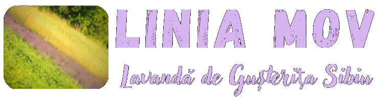Linia Mov Lavanda